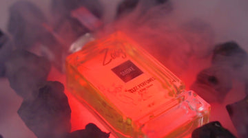 Zeez Smoke 50ML